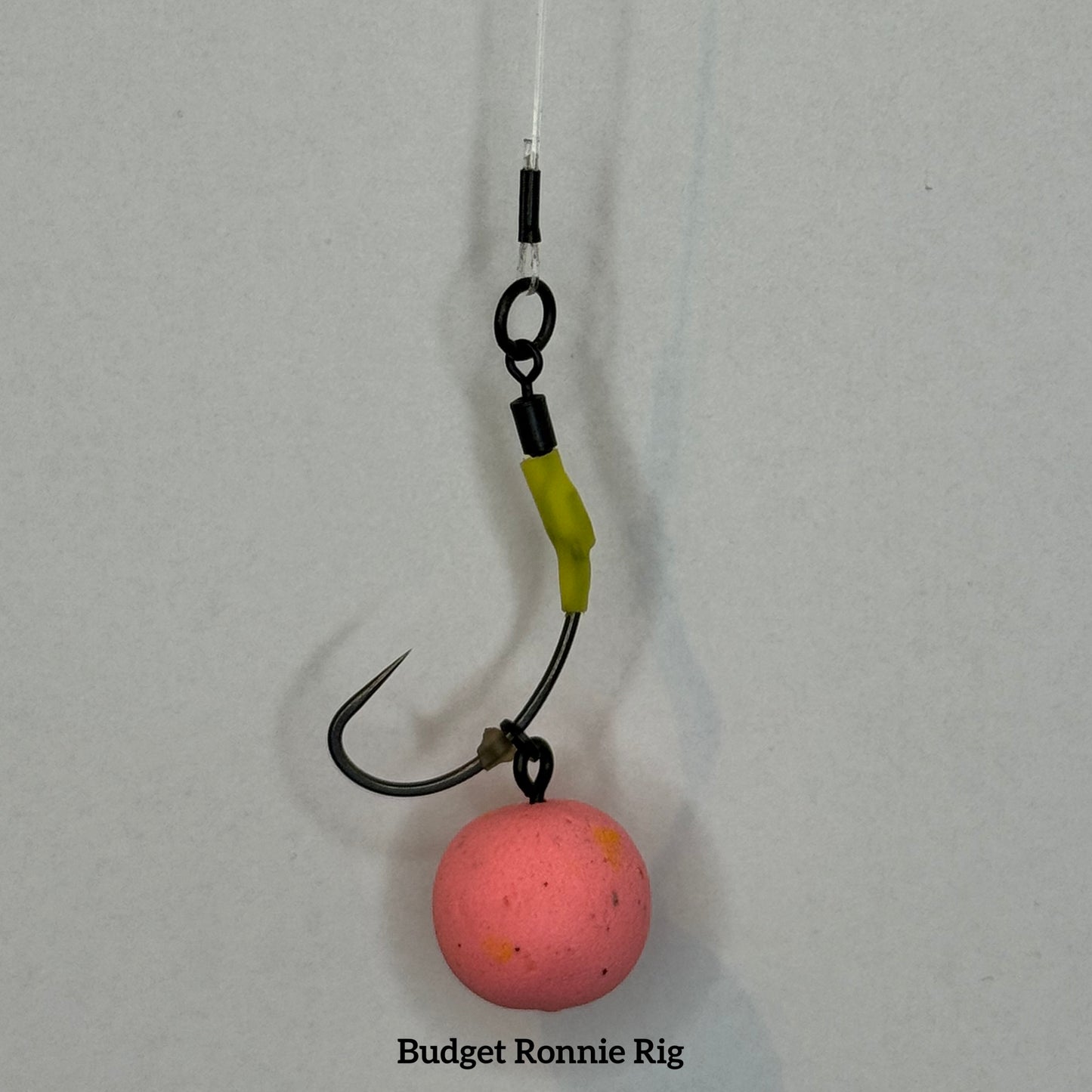 5 Budget Ronnie Rigs