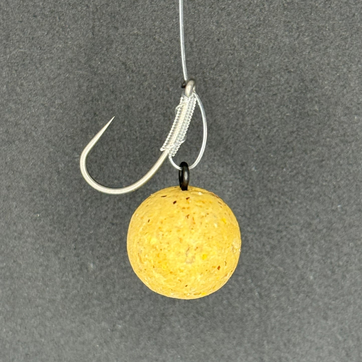 5 Budget Fluorocarbon D Rigs